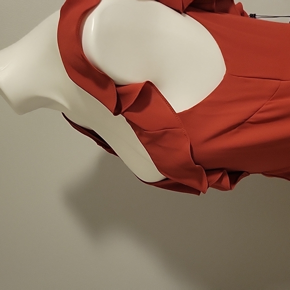 Beautiful BCBG MaxAzria Flowy Dress - Picture 7 of 8